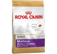 Maltese Royal Canin